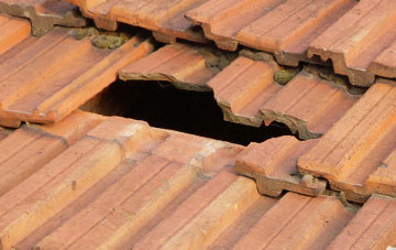 roof repair Tredustan, Powys